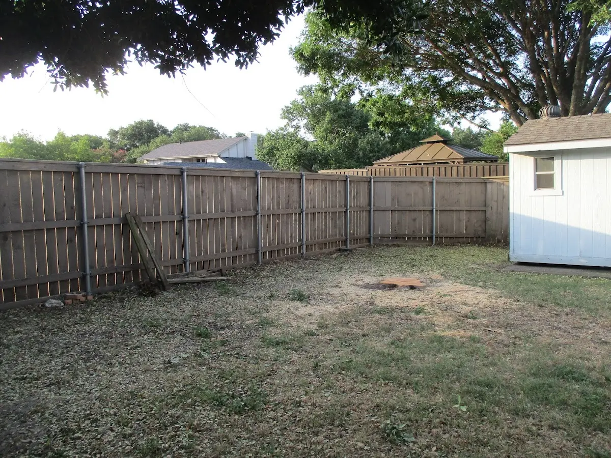 Cleared yard after professional tree removal in Oil City
