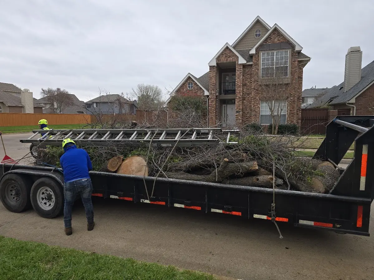 Expert Tree Fertilization with proper safety equipment in Oil City